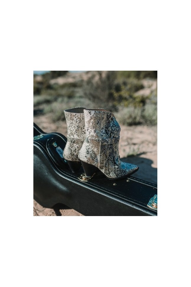 BOTIN IVANA PYTHON