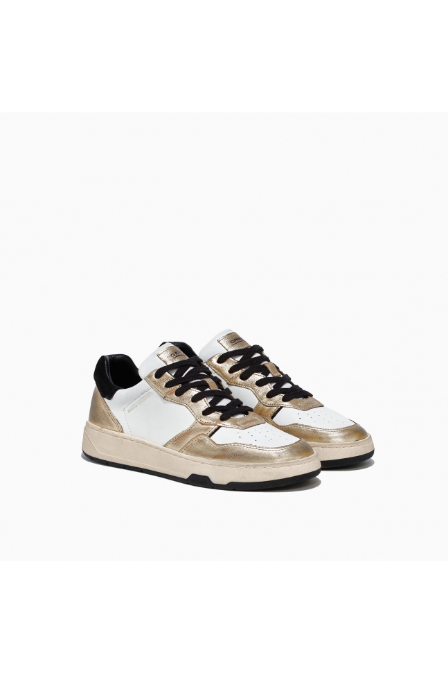 ZAPATILLA TIMELESS LOW TOP