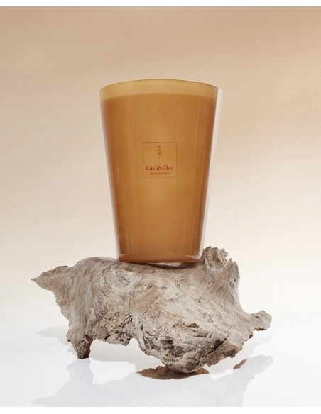 VELA AROMÁTICA XL TWINKLE DAWN